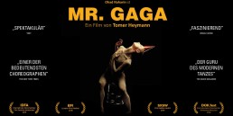 mr. gaga armando braswell basel